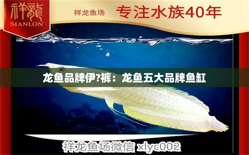 龙鱼品牌伊?裤：龙鱼五大品牌鱼缸 广州龙鱼批发市场