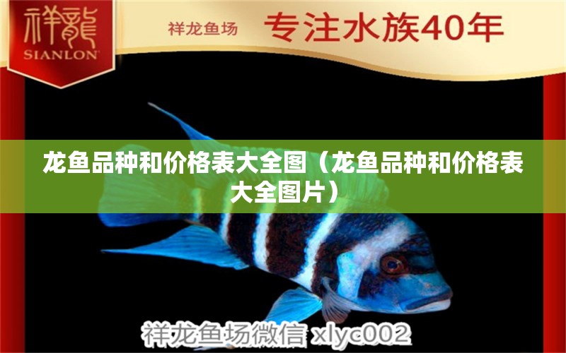 龙鱼品种和价格表大全图（龙鱼品种和价格表大全图片） 广州龙鱼批发市场