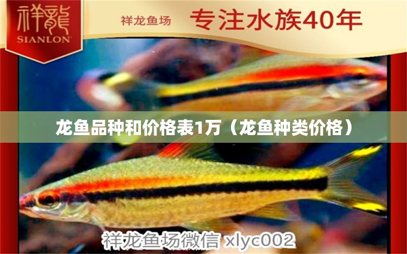 龙鱼品种和价格表1万（龙鱼种类价格） 广州龙鱼批发市场