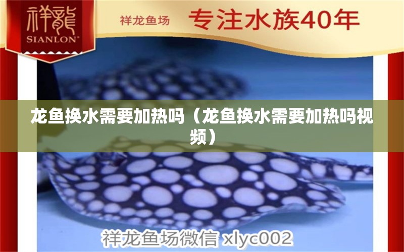 龙鱼换水需要加热吗（龙鱼换水需要加热吗视频） 广州龙鱼批发市场