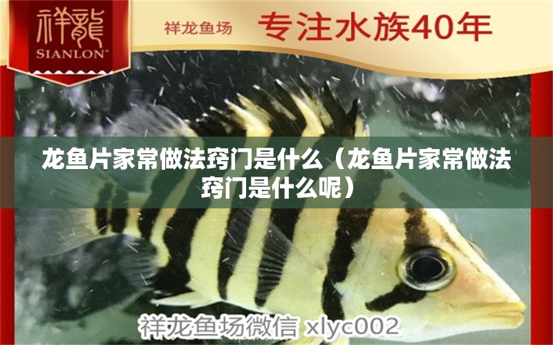 龙鱼片家常做法窍门是什么（龙鱼片家常做法窍门是什么呢） 广州龙鱼批发市场