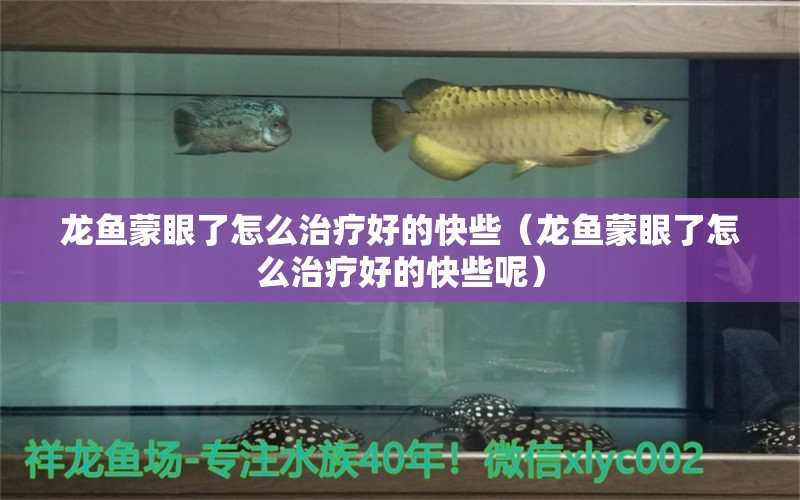龙鱼蒙眼了怎么治疗好的快些（龙鱼蒙眼了怎么治疗好的快些呢） 广州龙鱼批发市场