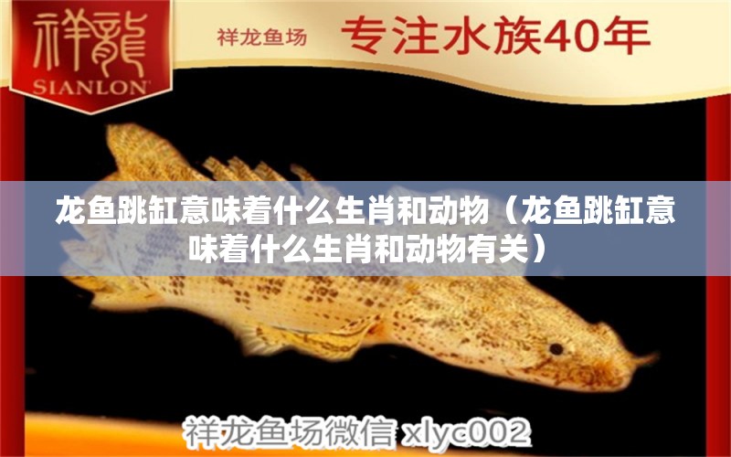 龙鱼跳缸意味着什么生肖和动物（龙鱼跳缸意味着什么生肖和动物有关） 广州龙鱼批发市场