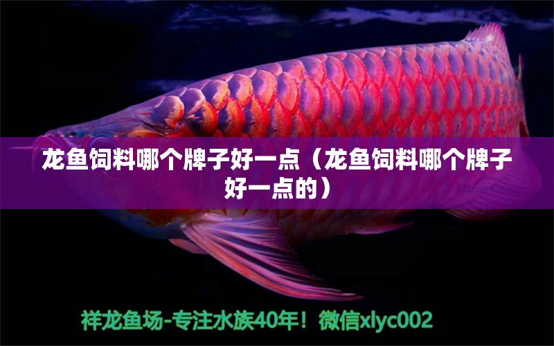 龙鱼饲料哪个牌子好一点（龙鱼饲料哪个牌子好一点的） 广州龙鱼批发市场
