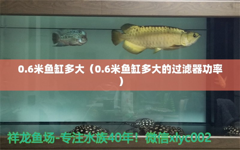 0.6米鱼缸多大（0.6米鱼缸多大的过滤器功率）
