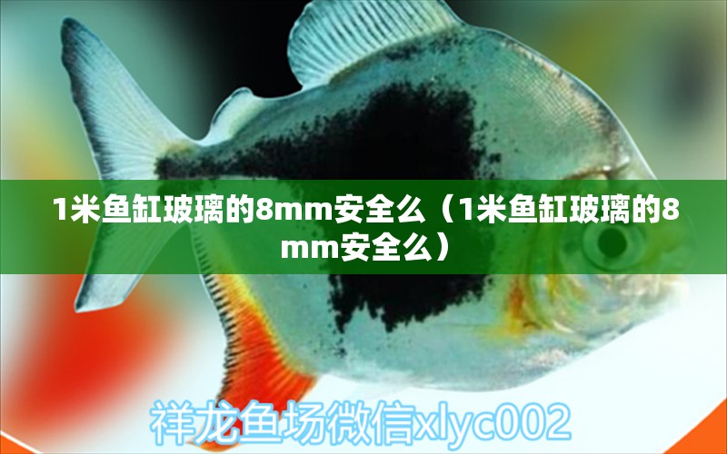 1米鱼缸玻璃的8mm安全么（1米鱼缸玻璃的8mm安全么）