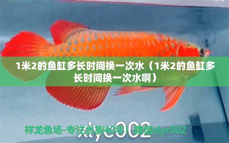 1米2的鱼缸多长时间换一次水（1米2的鱼缸多长时间换一次水啊） 鱼缸