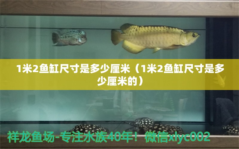 1米2鱼缸尺寸是多少厘米（1米2鱼缸尺寸是多少厘米的）