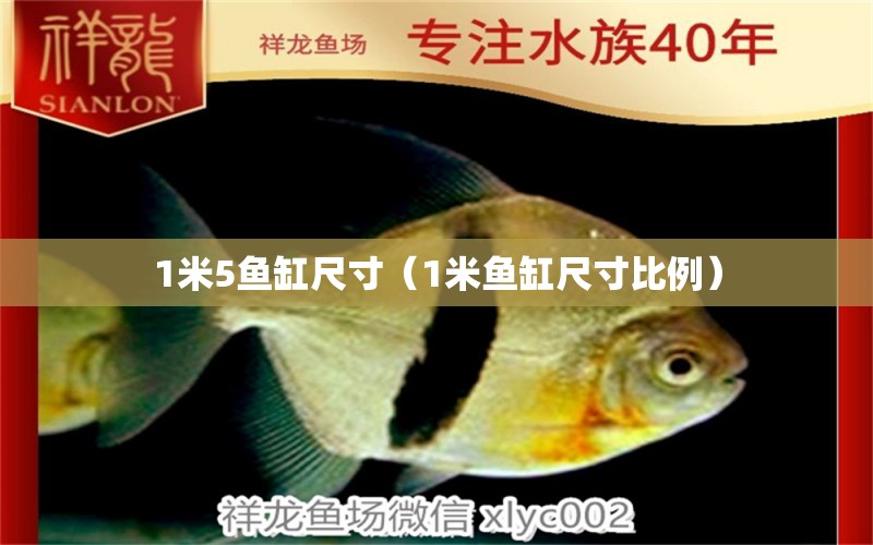 1米5鱼缸尺寸（1米鱼缸尺寸比例）