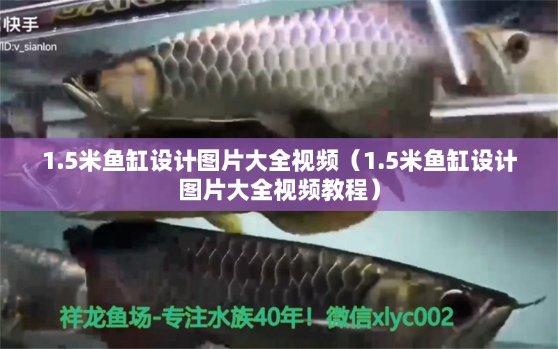 1.5米鱼缸设计图片大全视频（1.5米鱼缸设计图片大全视频教程）