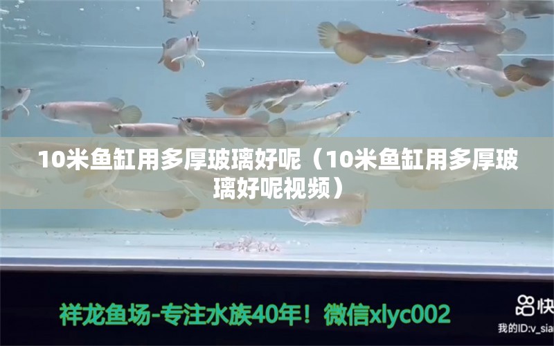 10米鱼缸用多厚玻璃好呢（10米鱼缸用多厚玻璃好呢视频）