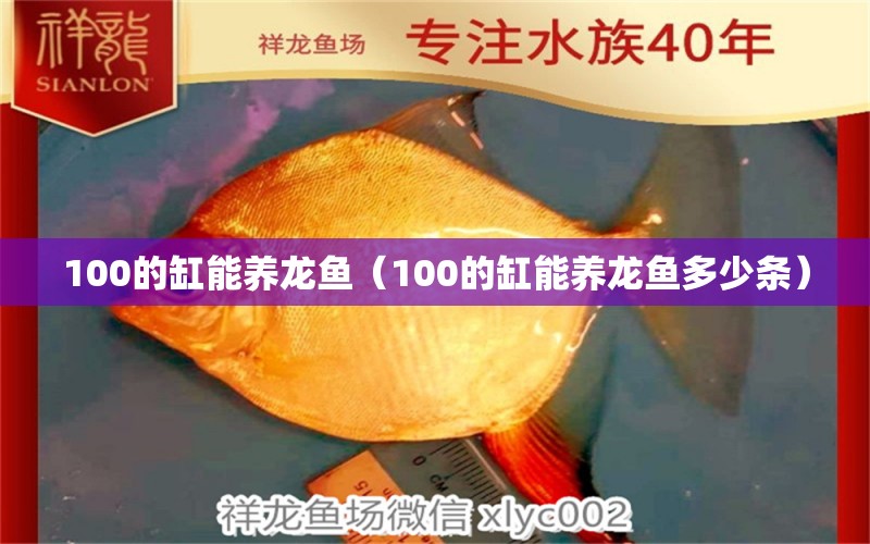 100的缸能养龙鱼（100的缸能养龙鱼多少条） 电鳗