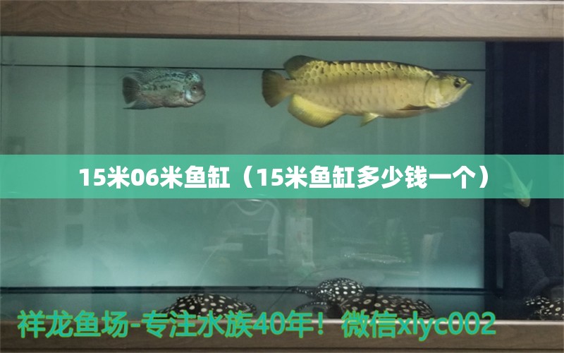15米06米鱼缸（15米鱼缸多少钱一个）