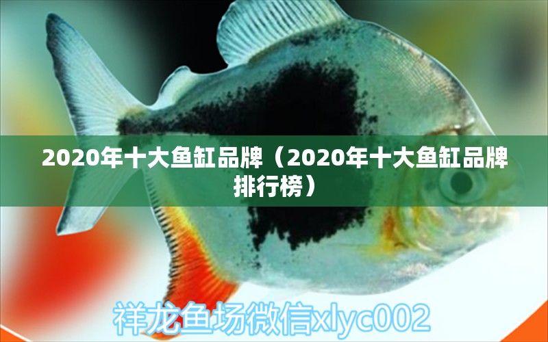 2020年十大鱼缸品牌（2020年十大鱼缸品牌排行榜）