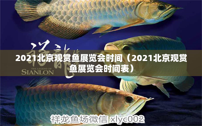 2021北京观赏鱼展览会时间（2021北京观赏鱼展览会时间表）