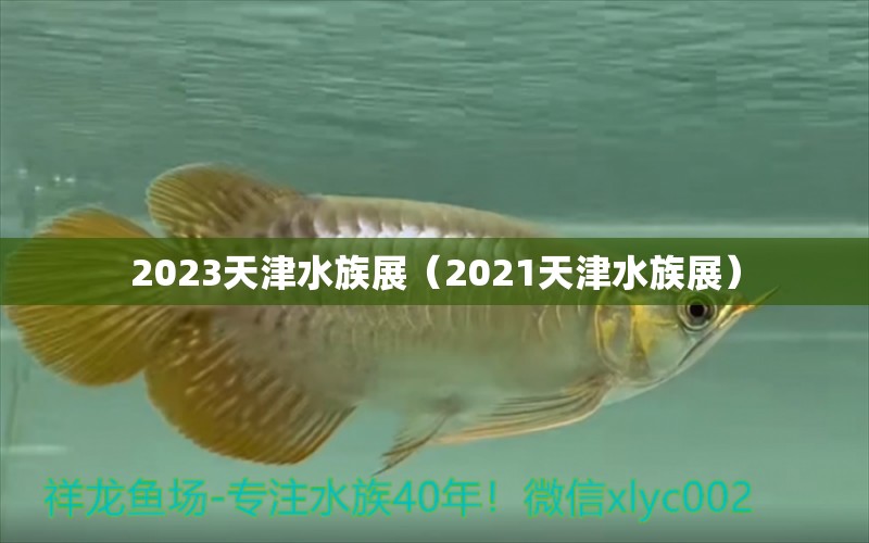 2023天津水族展（2021天津水族展）
