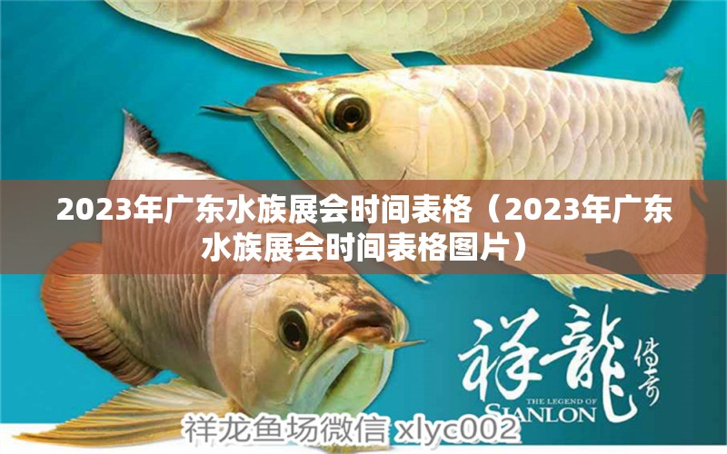 2023年广东水族展会时间表格（2023年广东水族展会时间表格图片）