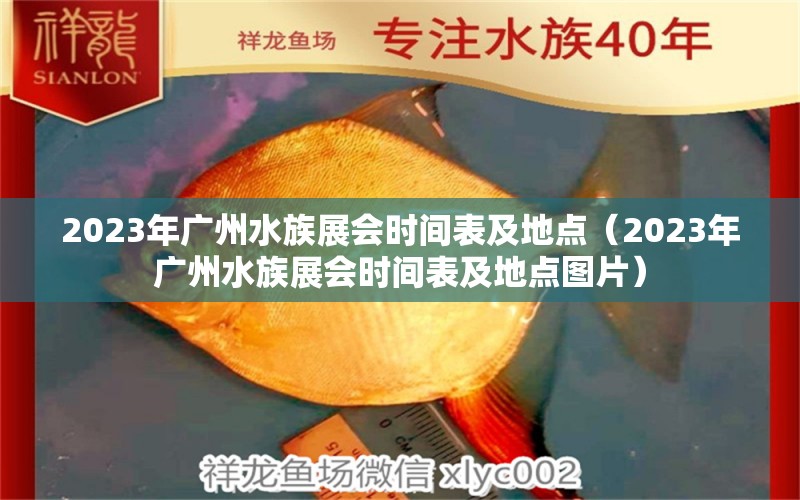 2023年广州水族展会时间表及地点（2023年广州水族展会时间表及地点图片）