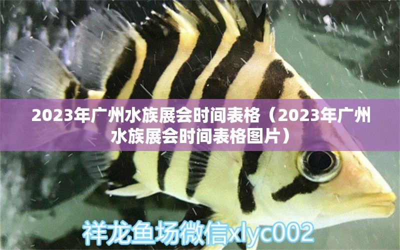 2023年广州水族展会时间表格（2023年广州水族展会时间表格图片） 水族展会