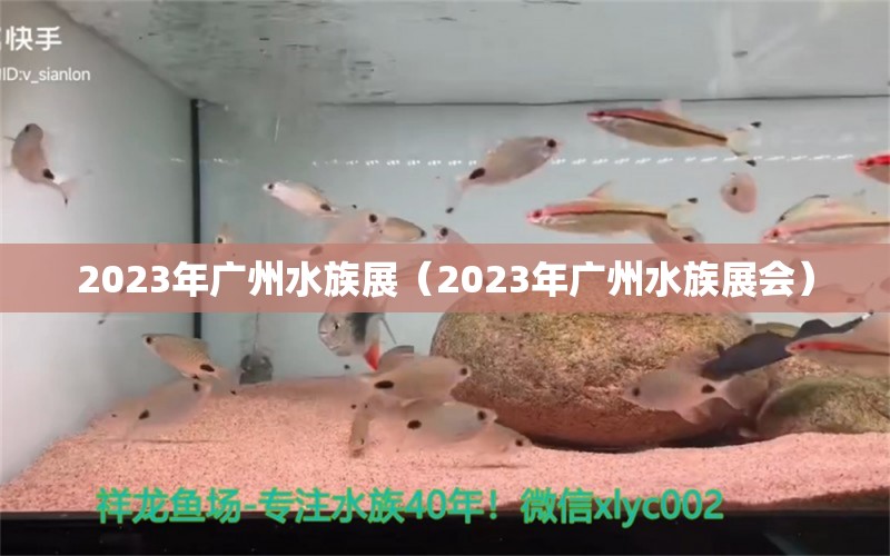 2023年广州水族展（2023年广州水族展会） 水族展会