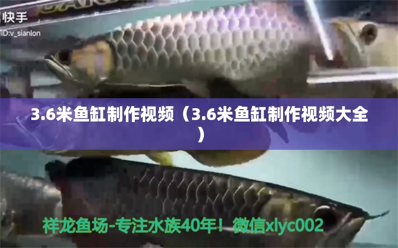 3.6米鱼缸制作视频（3.6米鱼缸制作视频大全）