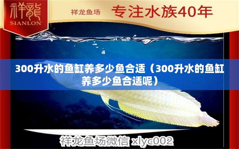 300升水的鱼缸养多少鱼合适（300升水的鱼缸养多少鱼合适呢）