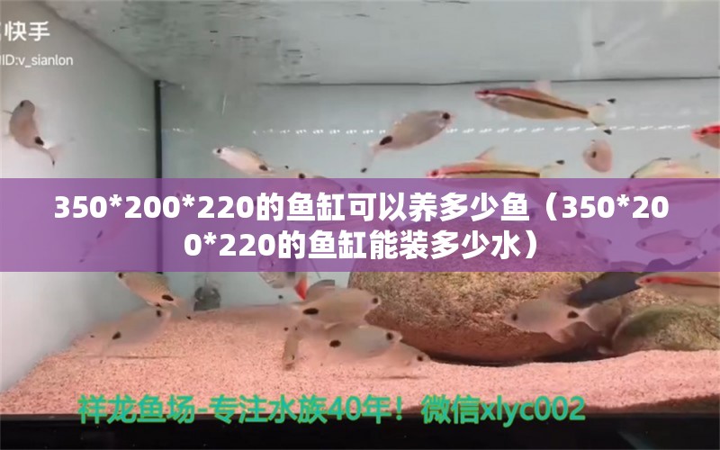 350*200*220的鱼缸可以养多少鱼（350*200*220的鱼缸能装多少水）