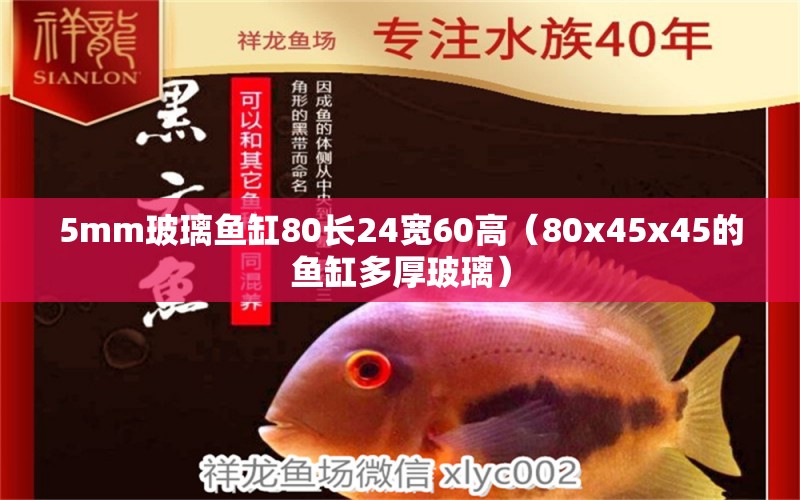 5mm玻璃鱼缸80长24宽60高（80x45x45的鱼缸多厚玻璃） 其他品牌鱼缸