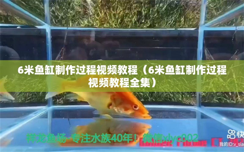 6米鱼缸制作过程视频教程（6米鱼缸制作过程视频教程全集）