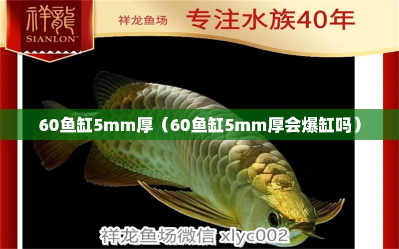 60鱼缸5mm厚（60鱼缸5mm厚会爆缸吗） 鱼缸