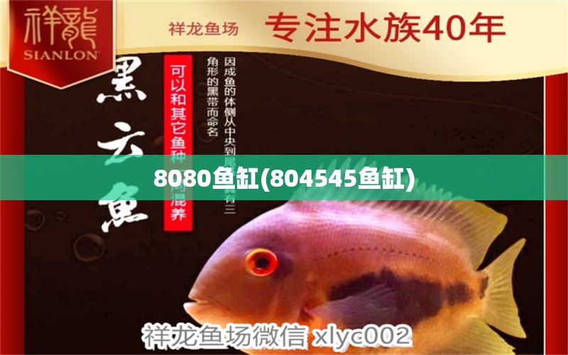 8080鱼缸(804545鱼缸)