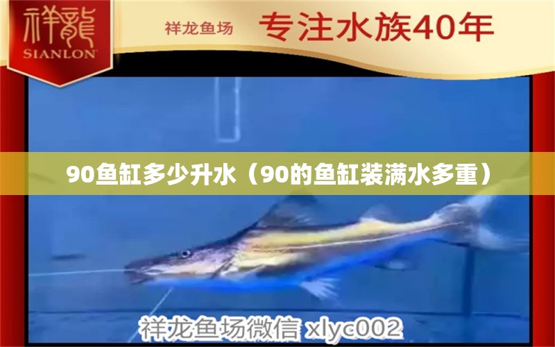 90鱼缸多少升水（90的鱼缸装满水多重） 国产元宝凤凰鱼