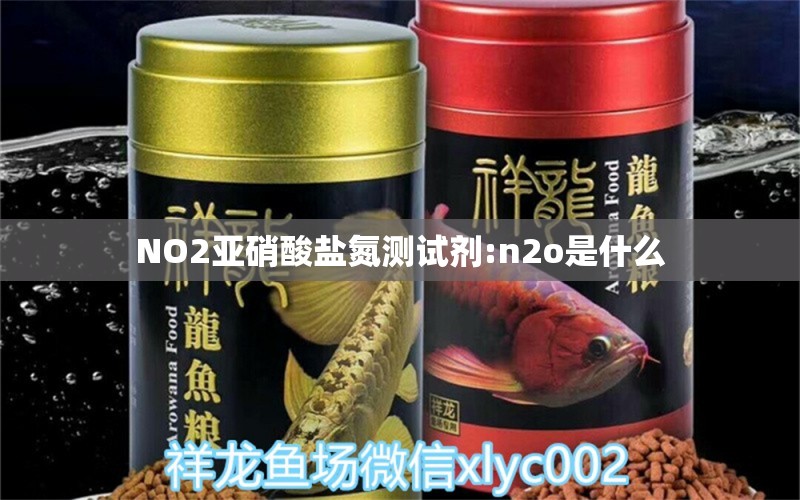 NO2亚硝酸盐氮测试剂:n2o是什么 广州水族器材滤材批发市场 第1张