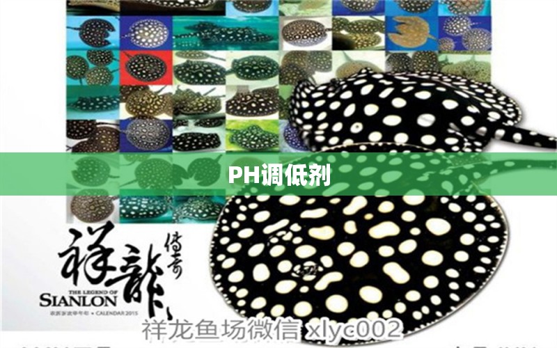 PH调低剂 广州水族器材滤材批发市场