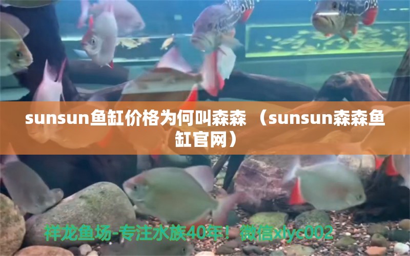 sunsun鱼缸价格为何叫森森 （sunsun森森鱼缸官网）