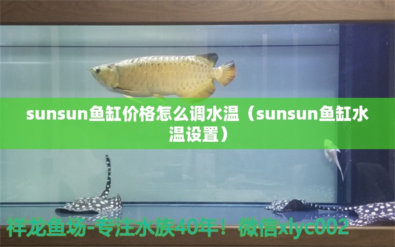 sunsun鱼缸价格怎么调水温（sunsun鱼缸水温设置） 杰西卡恐龙鱼