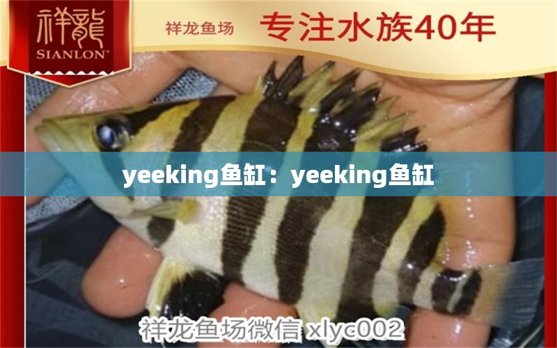 yeeking鱼缸：yeeking鱼缸