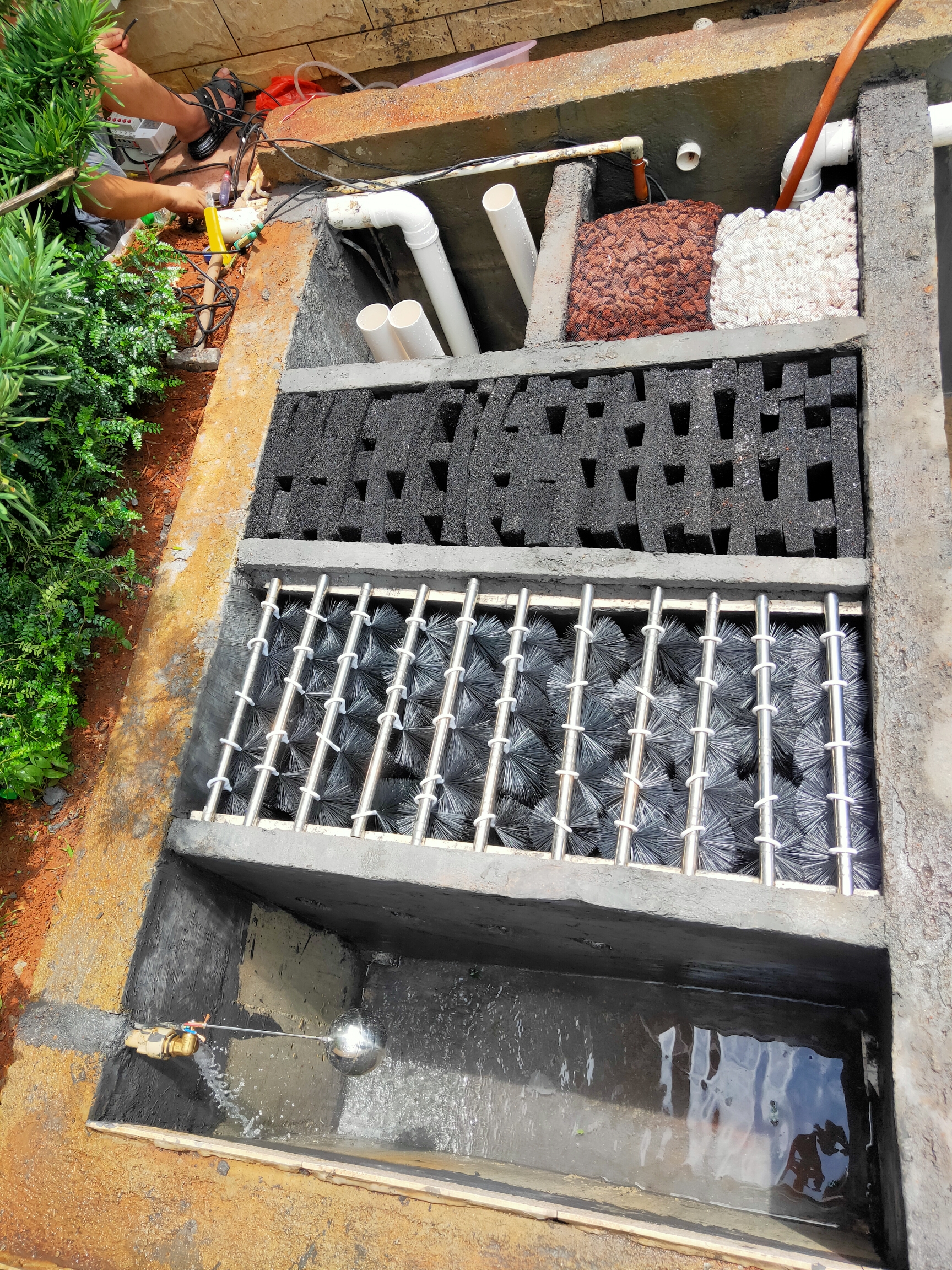 广东梅州′鱼池改造增加过滤系统 蓝底过背金龙鱼 第8张