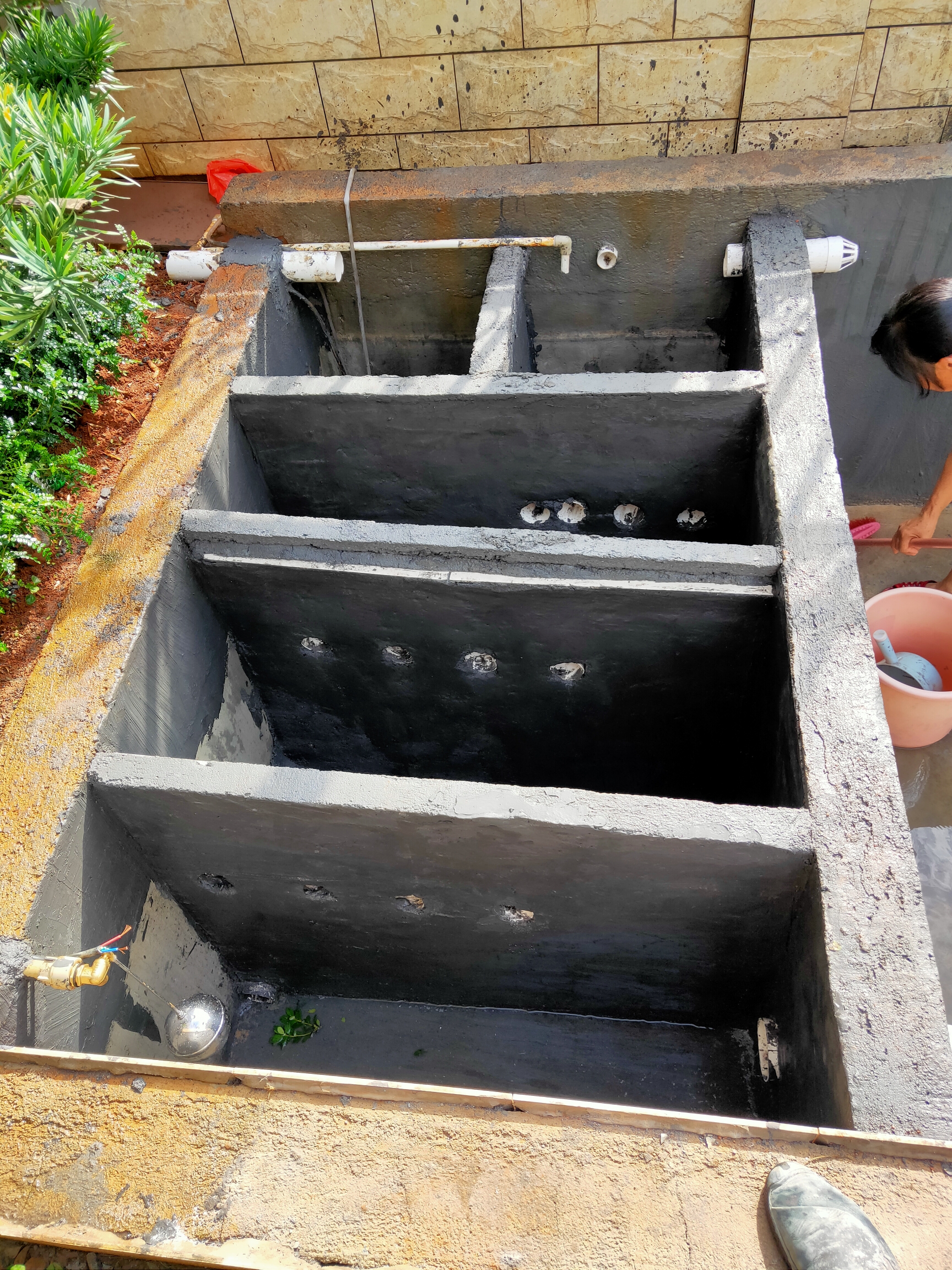 广东梅州′鱼池改造增加过滤系统 蓝底过背金龙鱼 第9张
