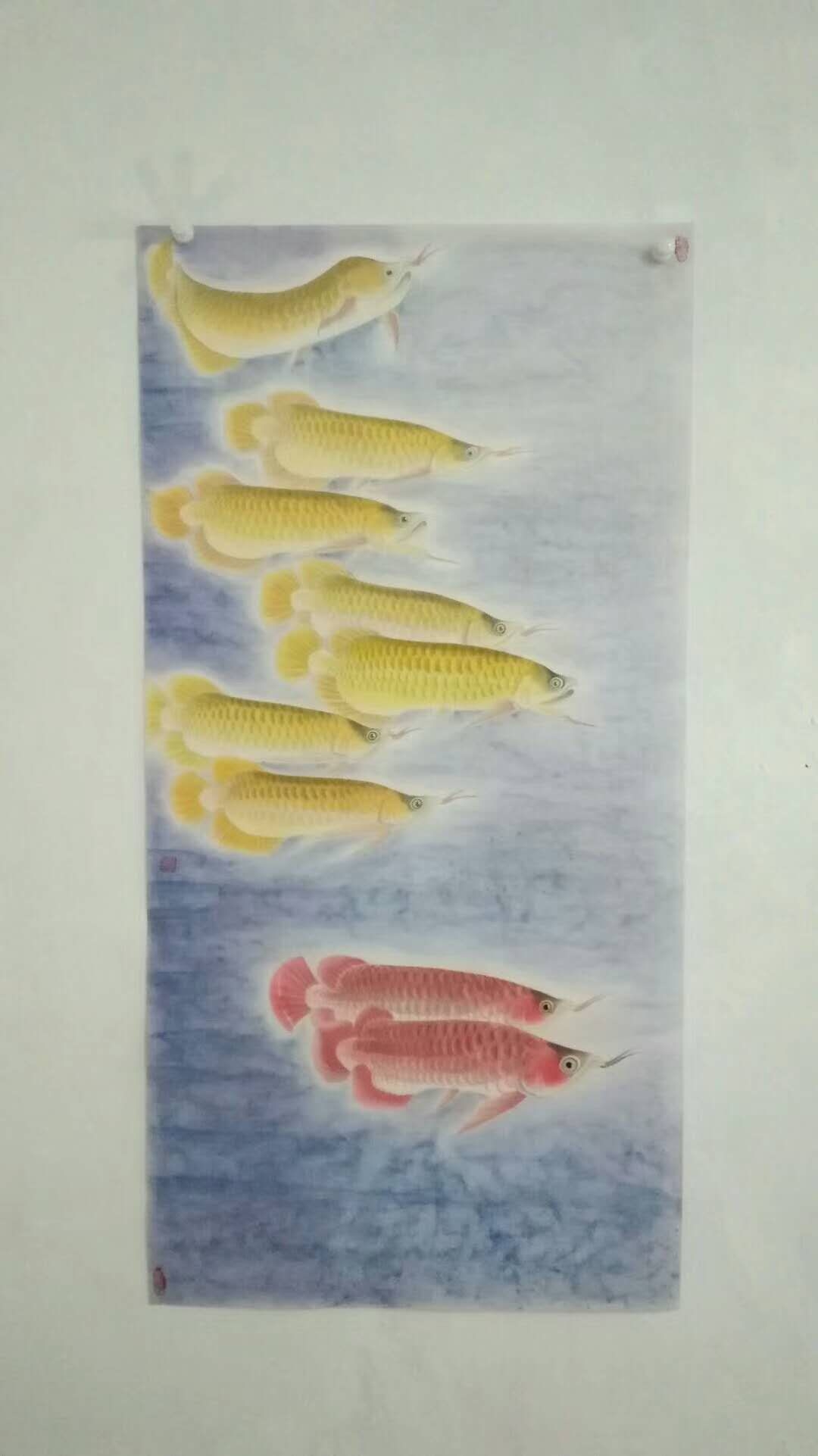 纯手绘金龙鱼国画