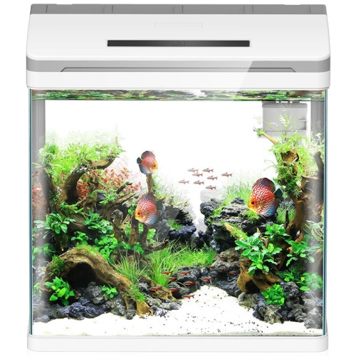 森森（SUNSUN）超白桌面小鱼缸生态玻璃缸水草缸客厅造景金鱼缸长方形HWK:420P裸缸（420230260mm） 水草 第9张