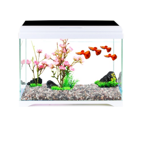 森森（SUNSUN）超白桌面小鱼缸生态玻璃缸水草缸客厅造景金鱼缸长方形HWK:420P裸缸（420230260mm） 水草 第11张