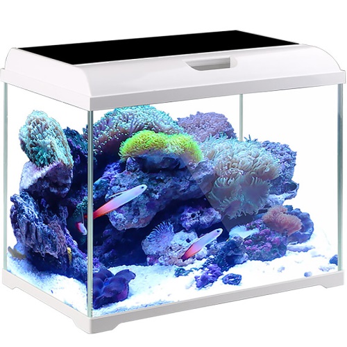 森森（SUNSUN）超白桌面小鱼缸生态玻璃缸水草缸客厅造景金鱼缸长方形HWK:420P裸缸（420230260mm） 水草 第10张