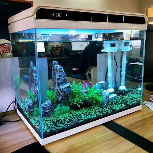 森森（SUNSUN）超白桌面小鱼缸生态玻璃缸水草缸客厅造景金鱼缸长方形HWK:420P裸缸（420230260mm） 水草 第8张