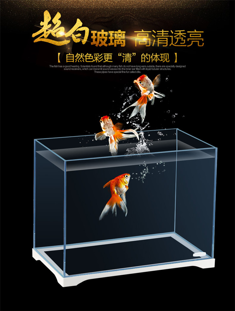 森森（SUNSUN）超白桌面小鱼缸生态玻璃缸水草缸客厅造景金鱼缸长方形HWK:420P裸缸（420230260mm） 水草 第87张