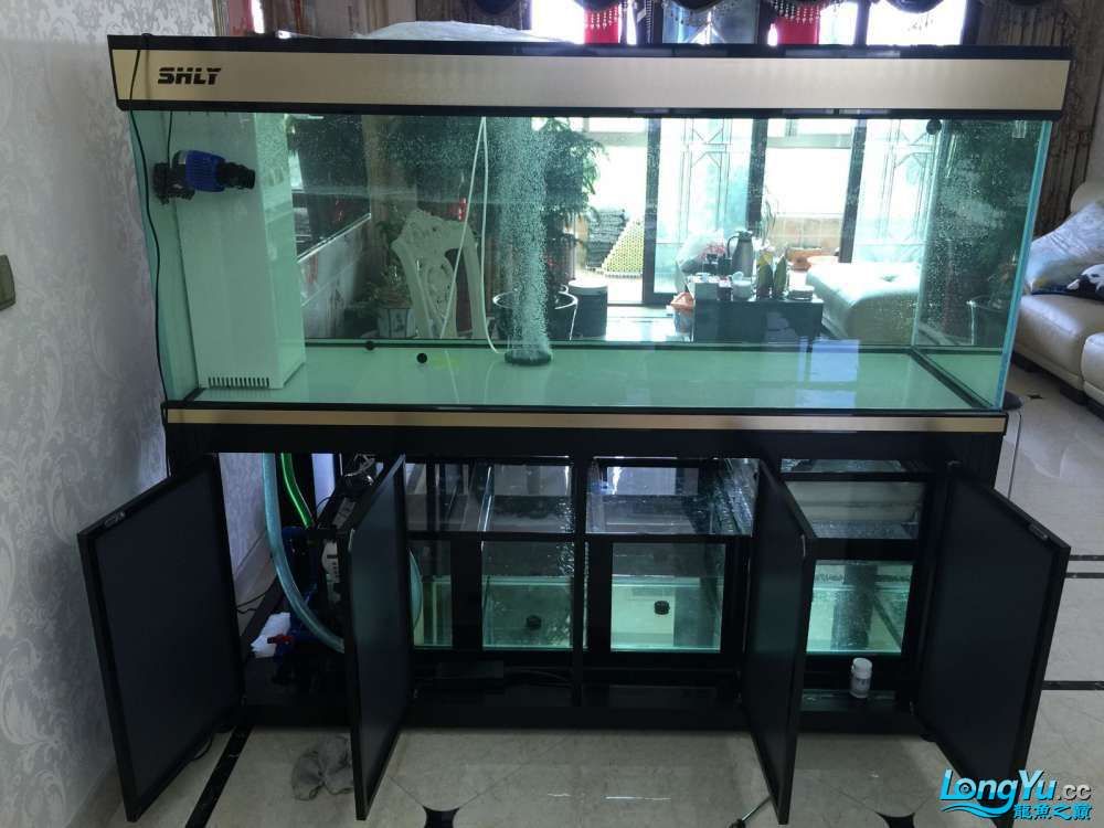 广州水族馆龙鱼饲养基础篇新手必须要了解的五件事情 鱼缸净水剂 第1张