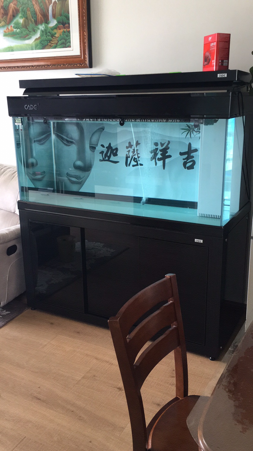 广州水族馆彩蝶的模特开一米五米不喜欢不喷