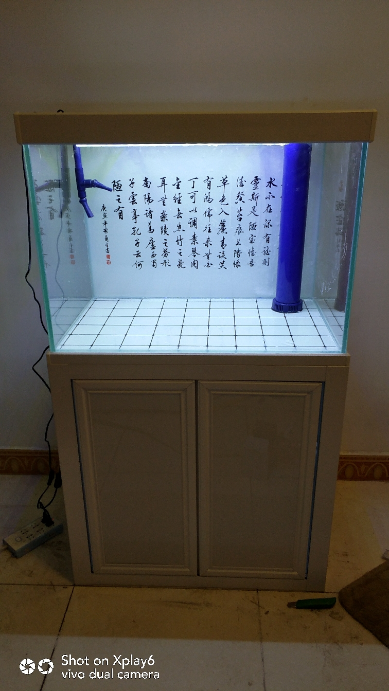 广州水族馆闲的无聊做个缸玩玩 大白鲨鱼 第2张