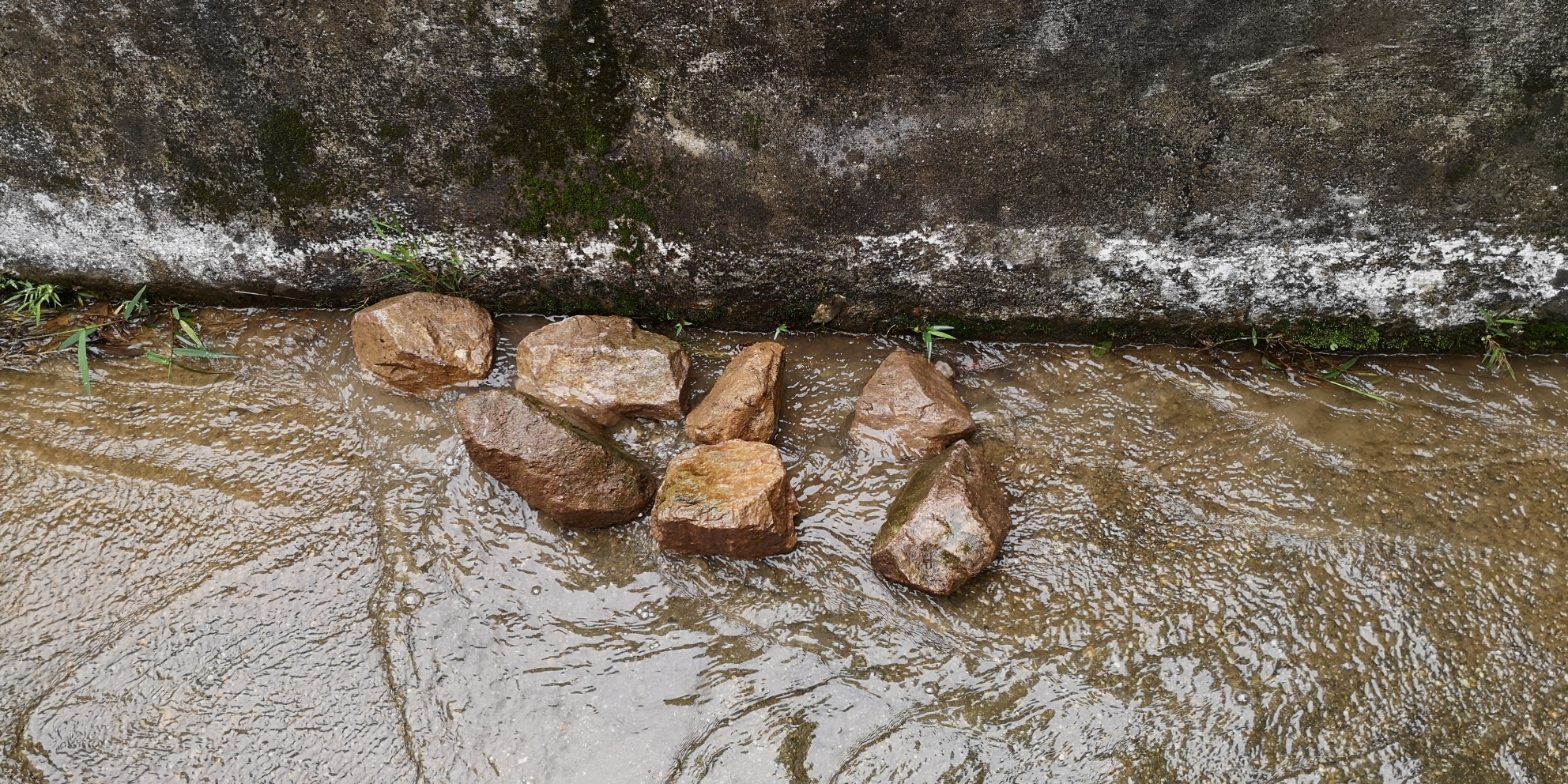 去山里捡石头 泰庞海鲢鱼 第6张