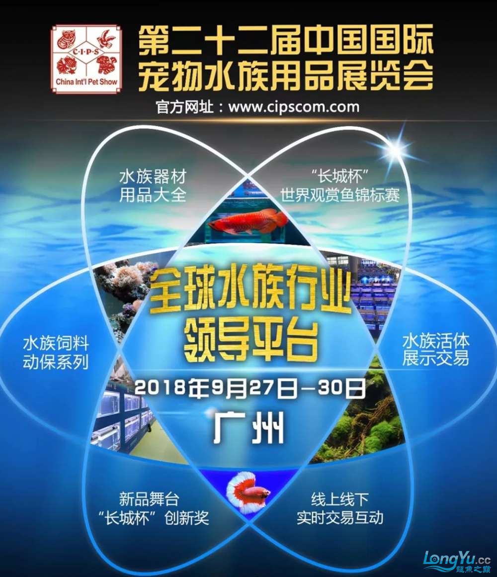 中国宠物饲料进口政策及法规要求交流会 双线侧鱼 第7张